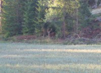 /album/bildgalleri/h1-jpg/