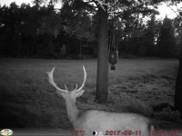 /album/bildgalleri/doven-jpg/