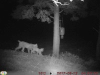 /album/bildgalleri/lo-jpg/